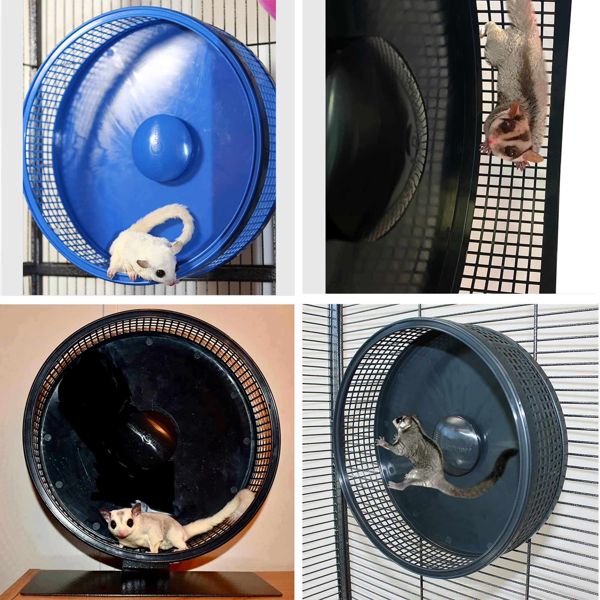 Silent Runner Pro | Sugar Glider Exercise Wheel (Blue With Attachment)